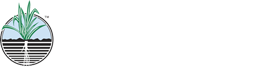 Power Rich